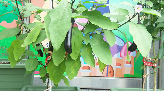 온양노인요양원 이미지 2