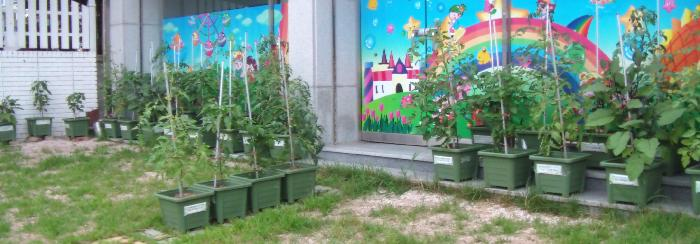 온양노인요양원 이미지 4