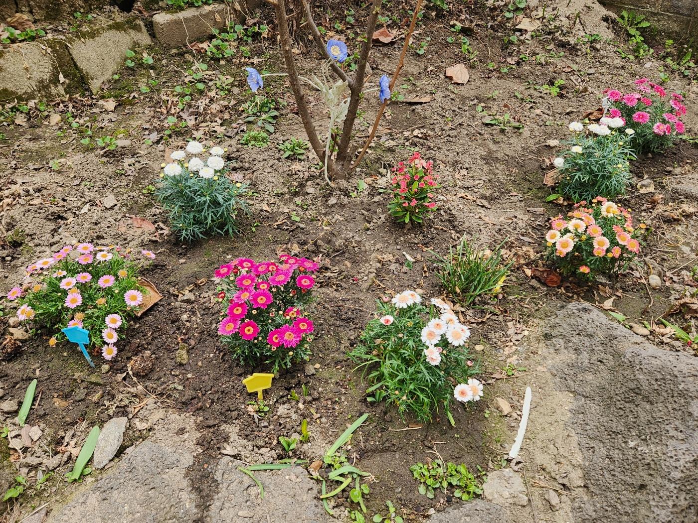 중앙실버노인요양공동생활가정 이미지 2