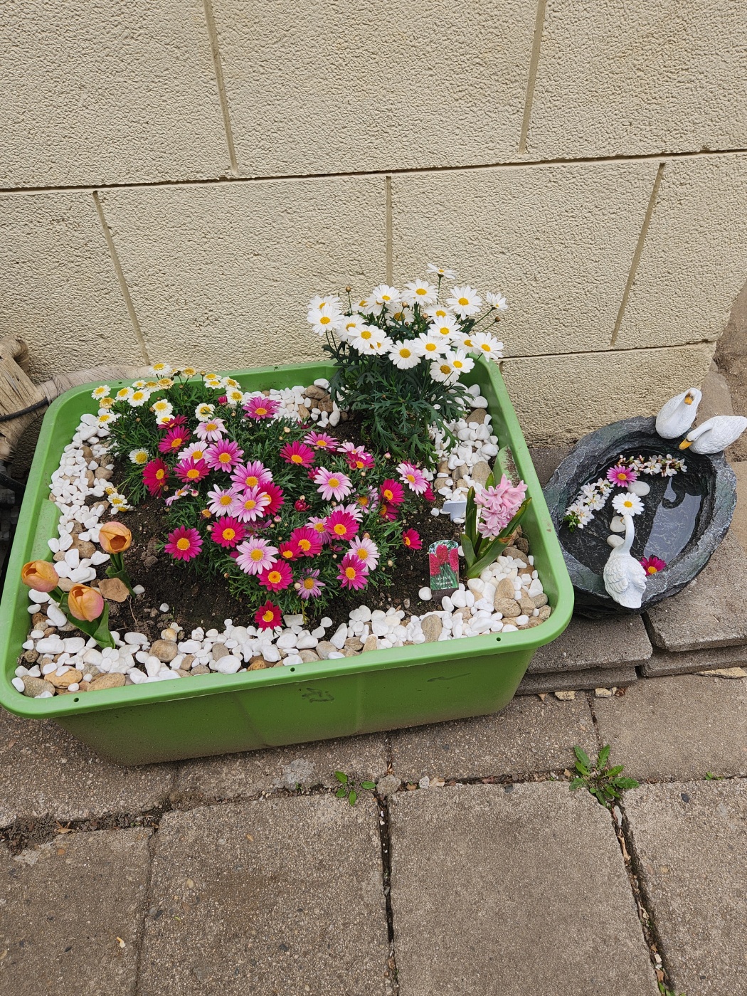 중앙실버노인요양공동생활가정