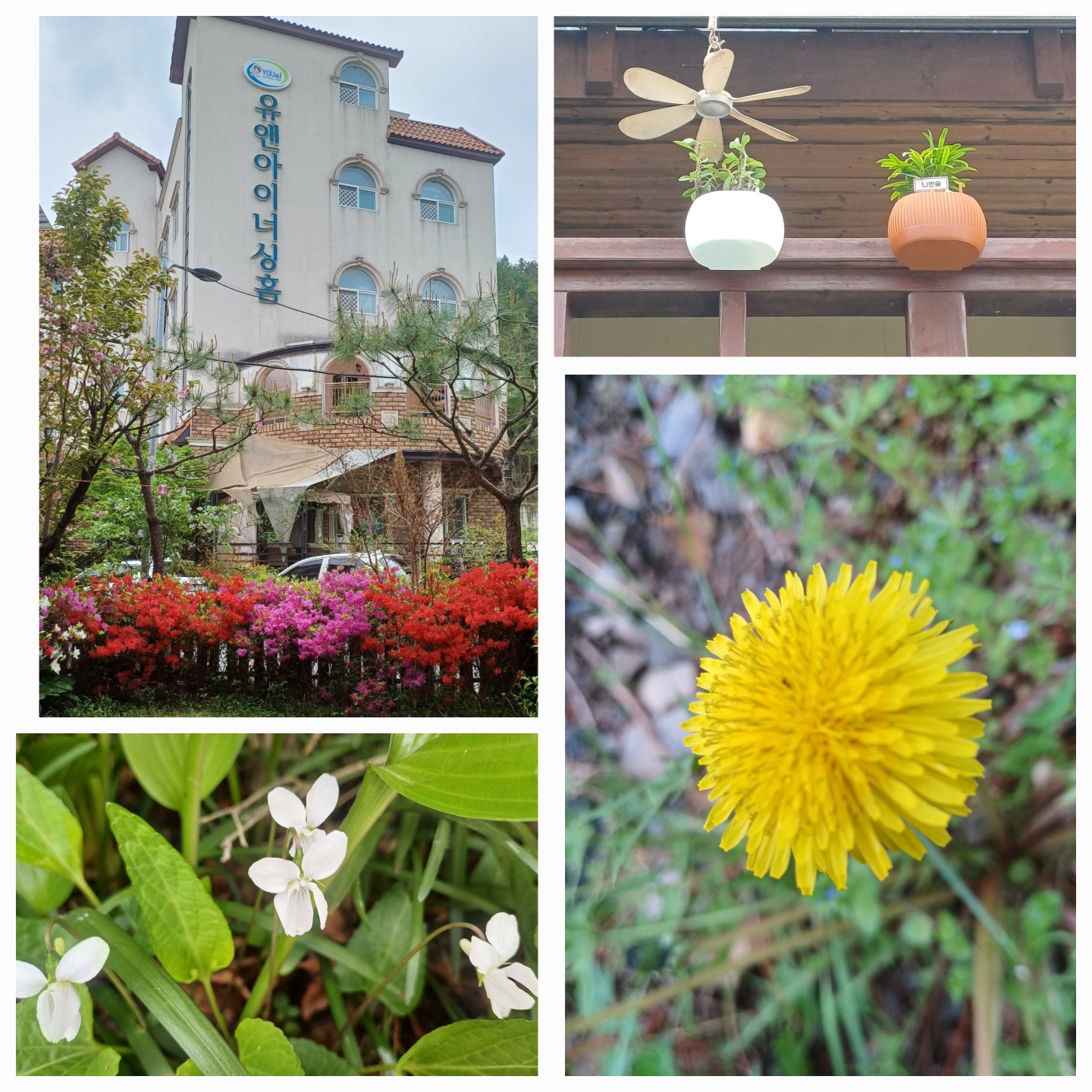 유앤아이너싱홈II 이미지 2