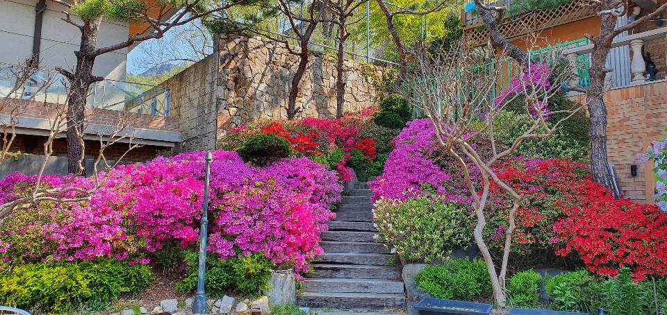 아름다운뜰안에 요양원 이미지 2