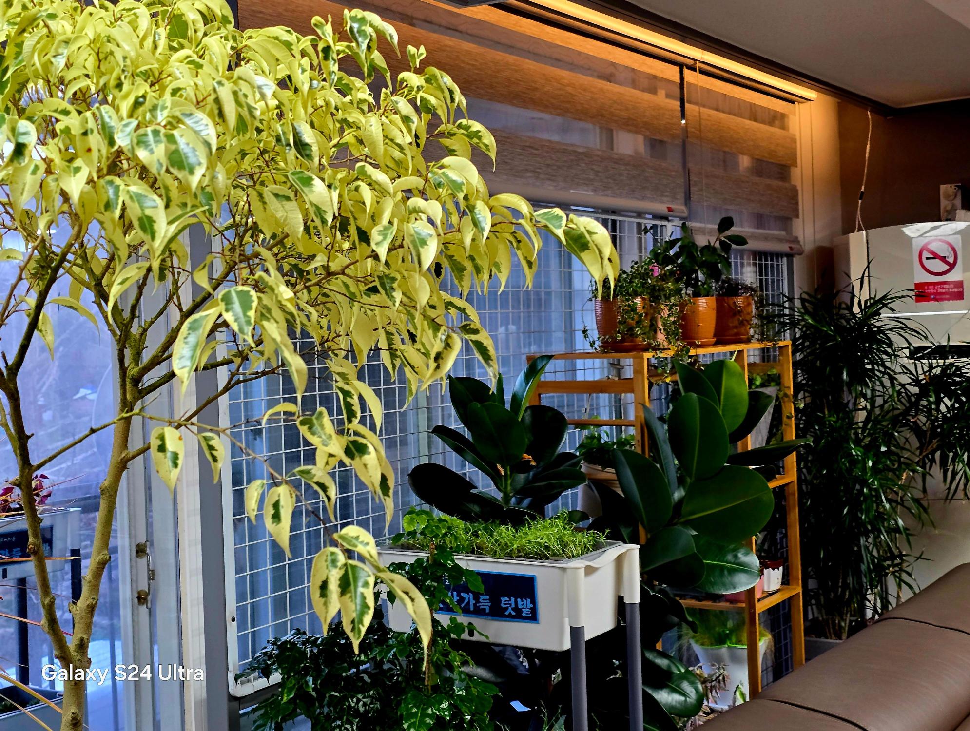 햇살가득 요양원