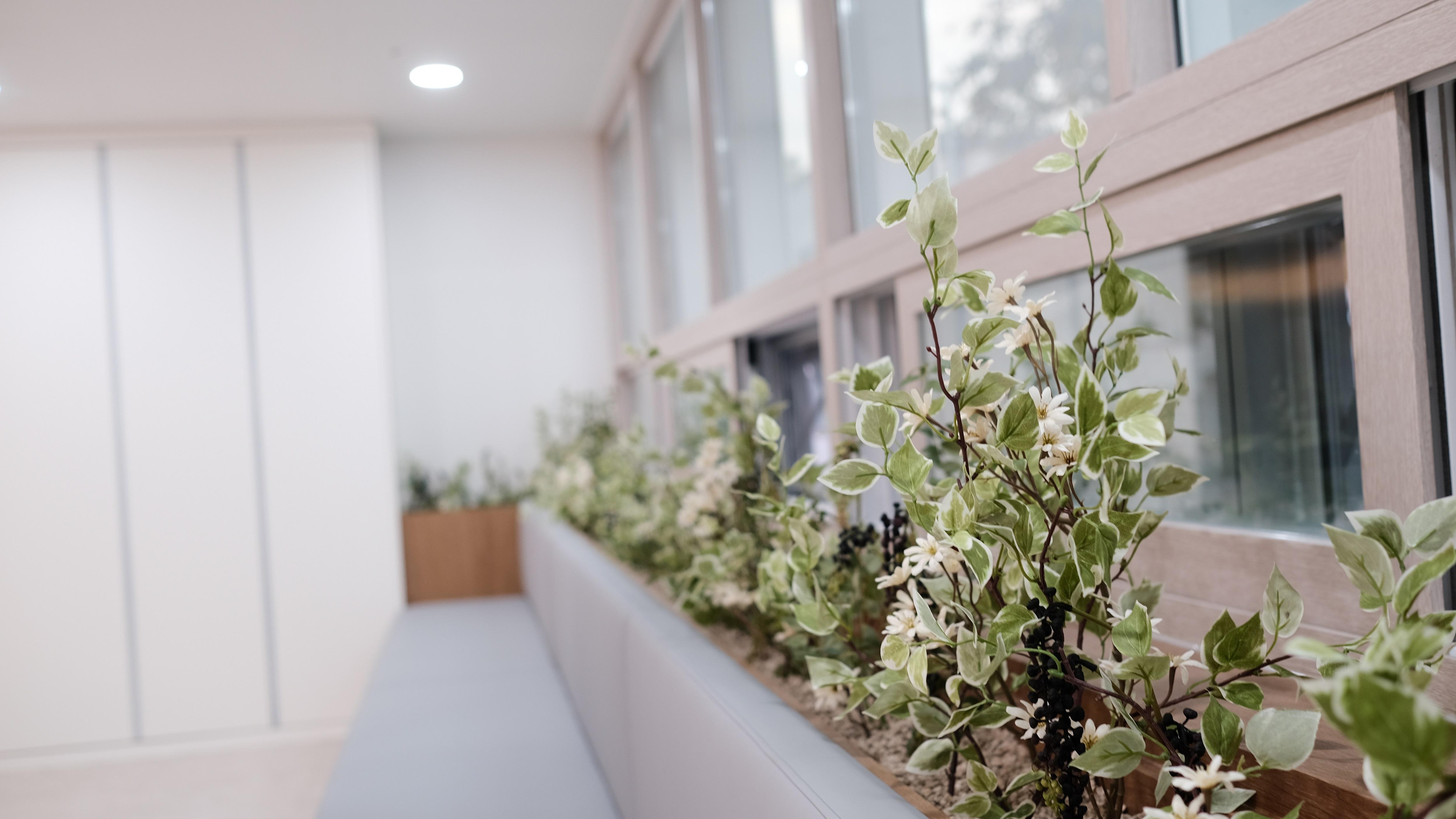 네스트빌요양원