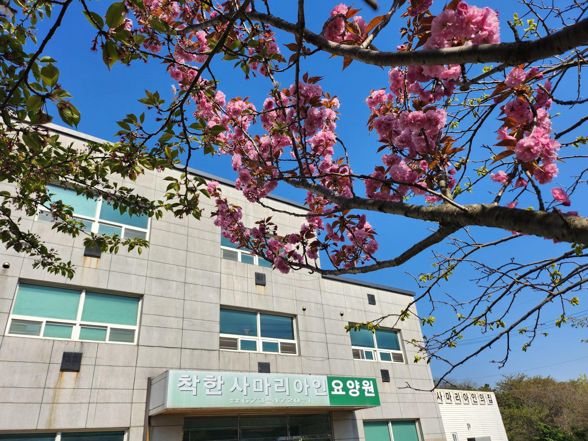 착한사마리아인요양원 이미지 2