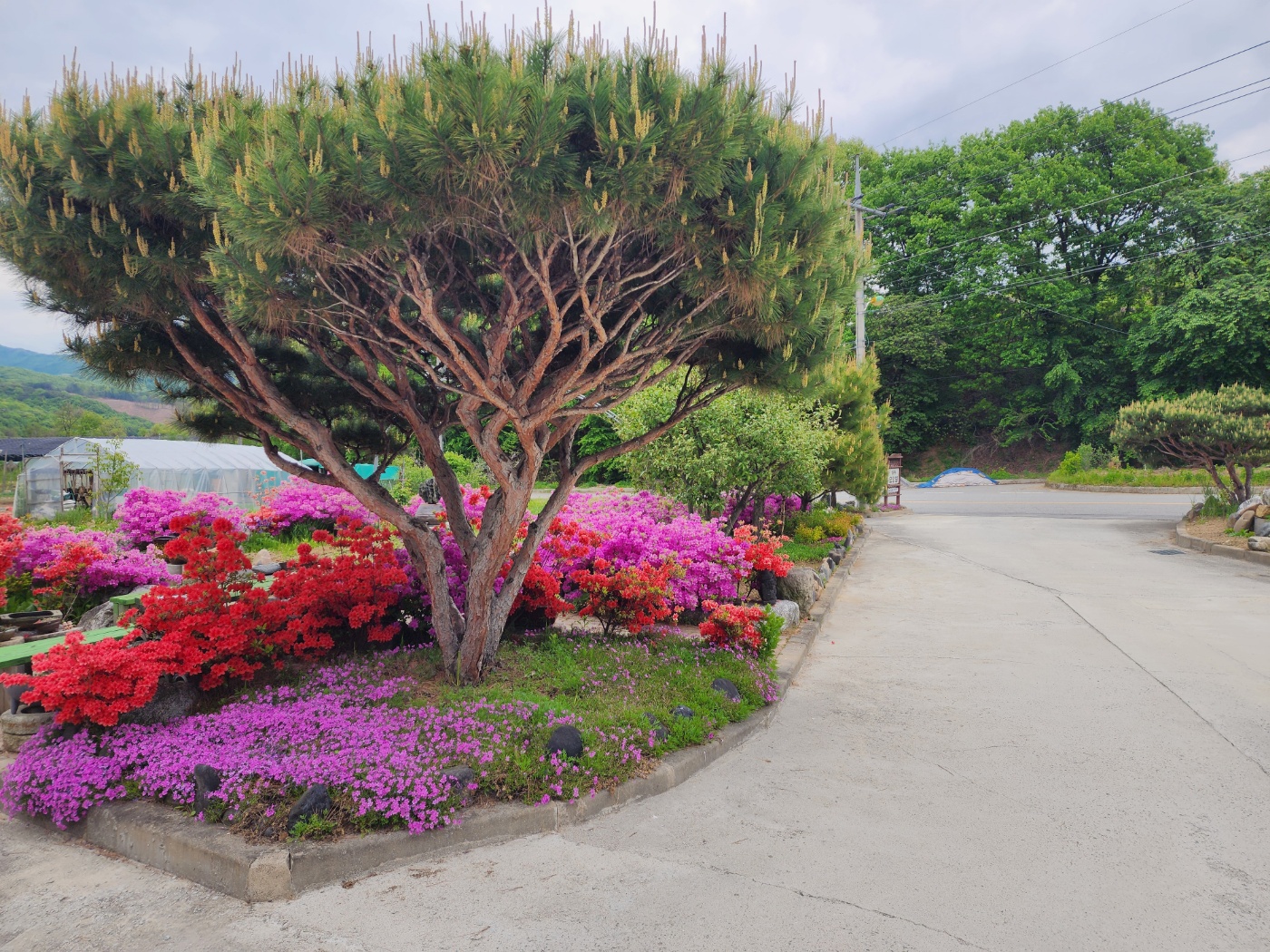 다원요양원 이미지 2