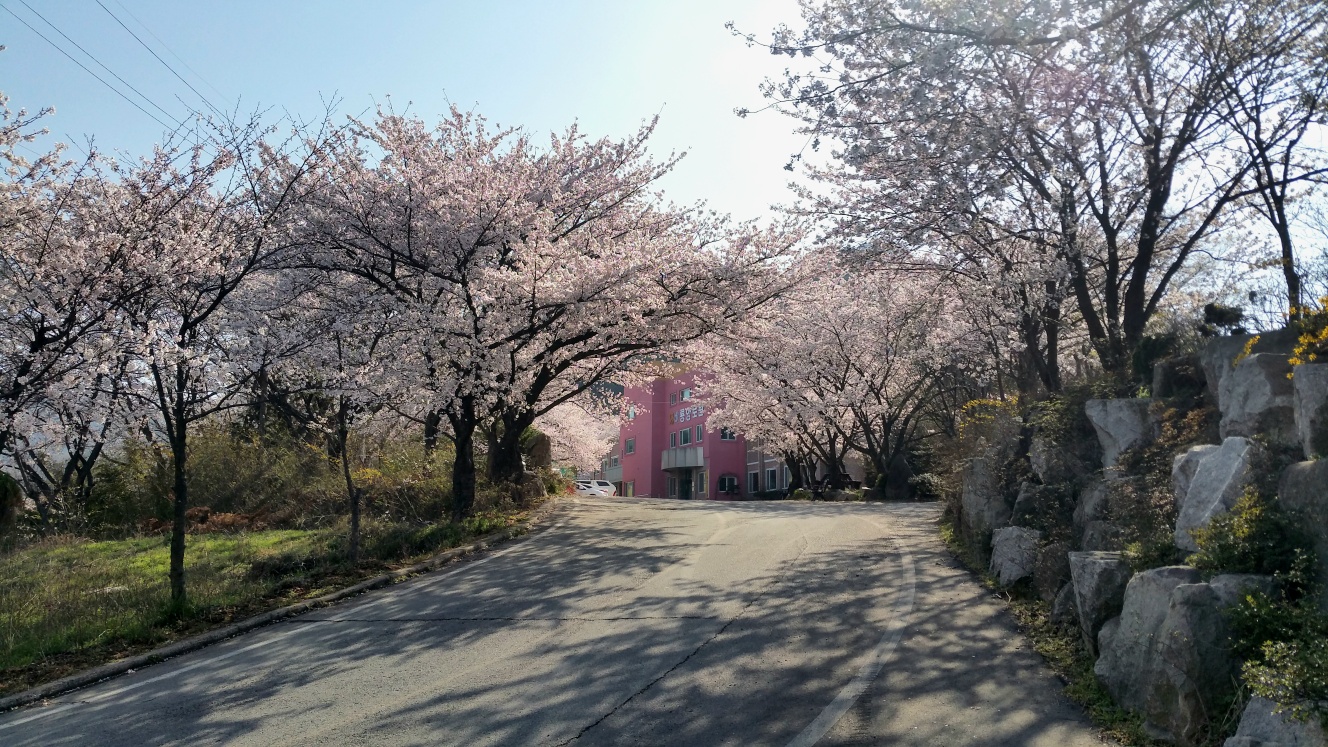 비룡노인전문요양원