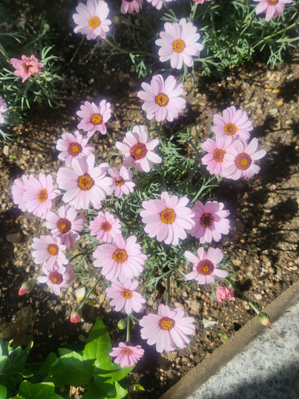 희연실버타운 이미지 5