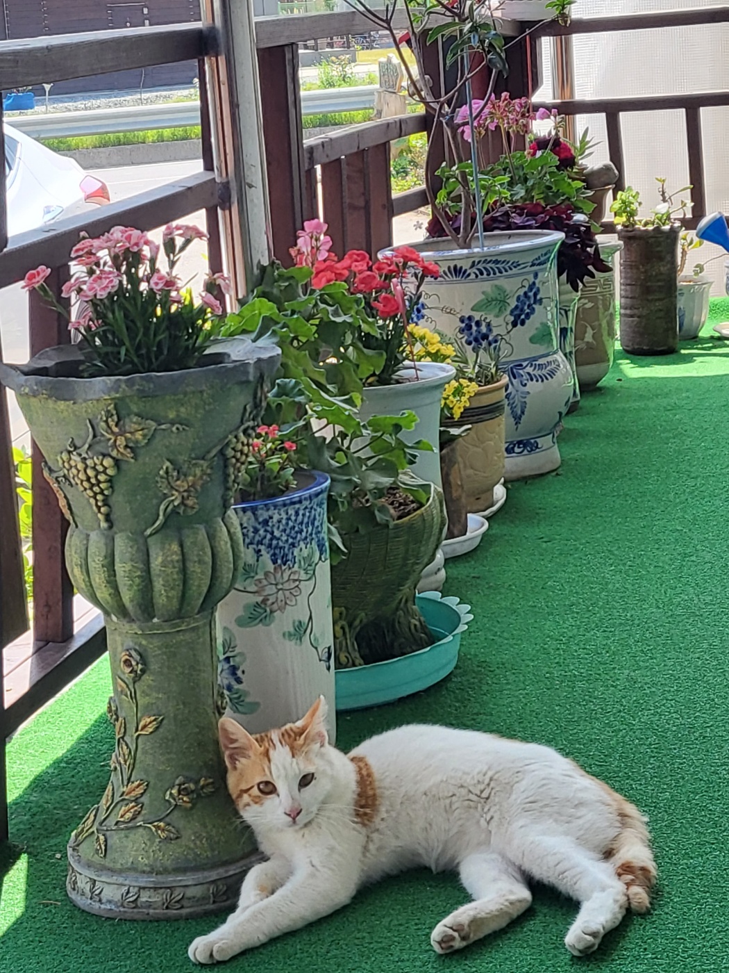 실로암요양원 이미지 3