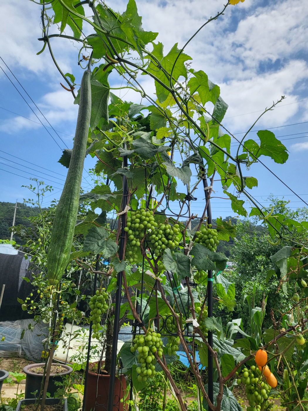 실로암요양원 이미지 4