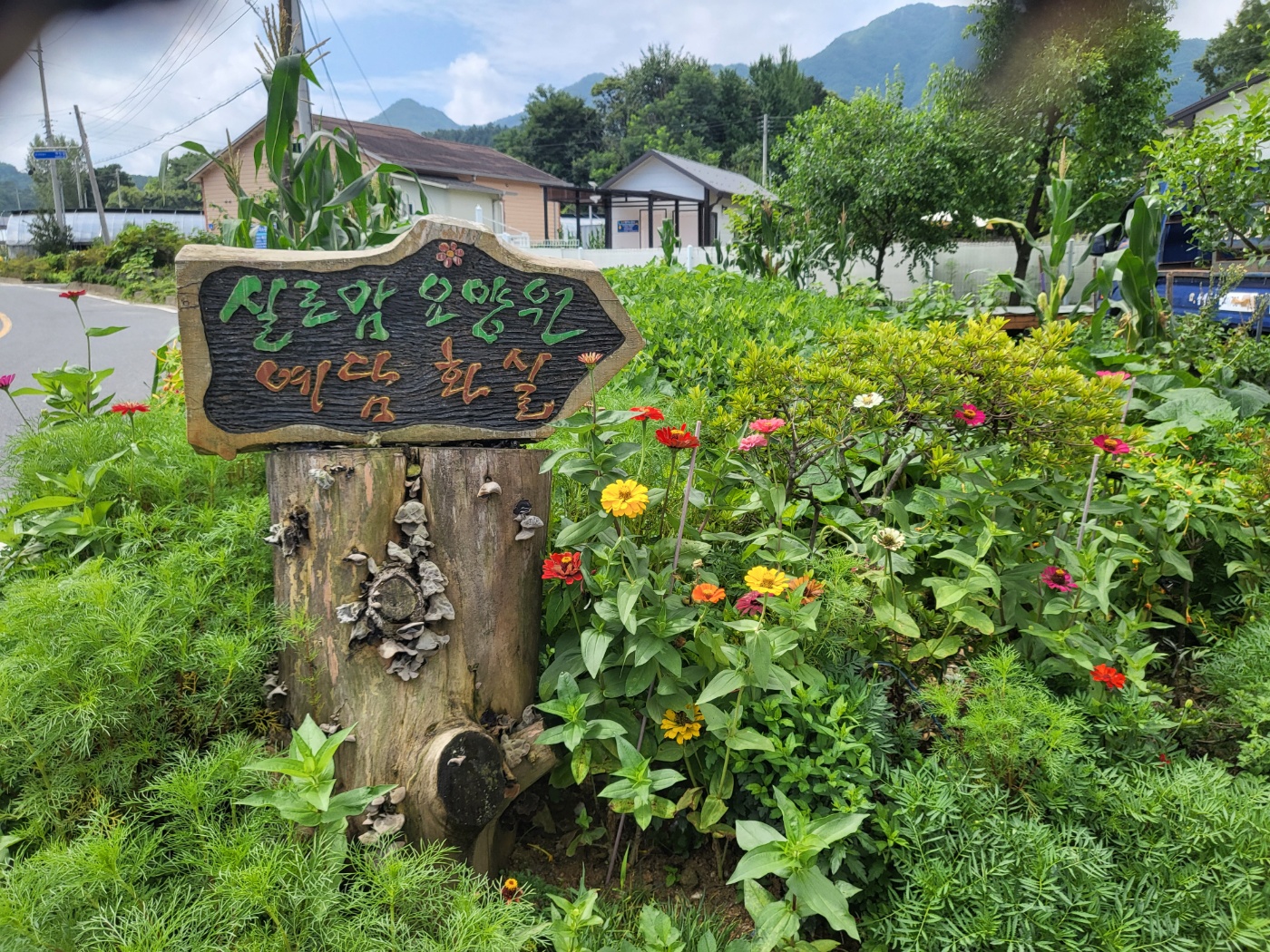 실로암요양원 이미지 5