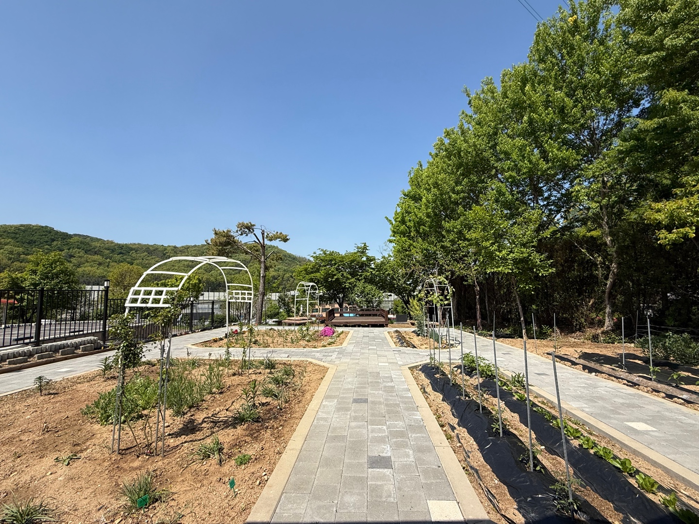 효자의 집 이미지 4