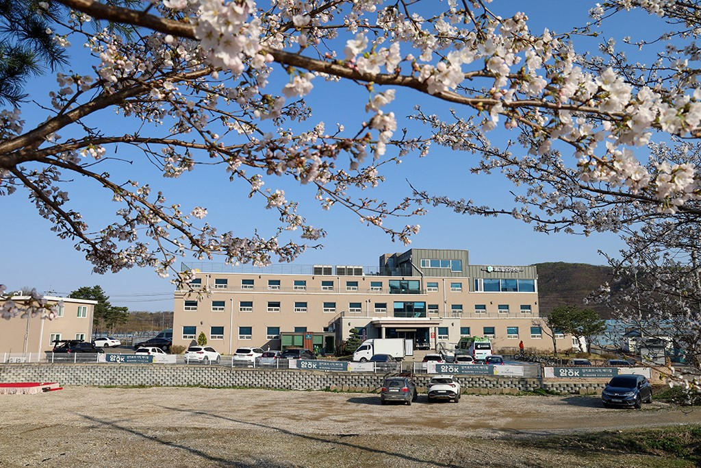 메디힐요양병원