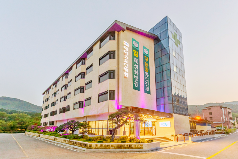 의료법인 채화의료재단 에이스요양병원