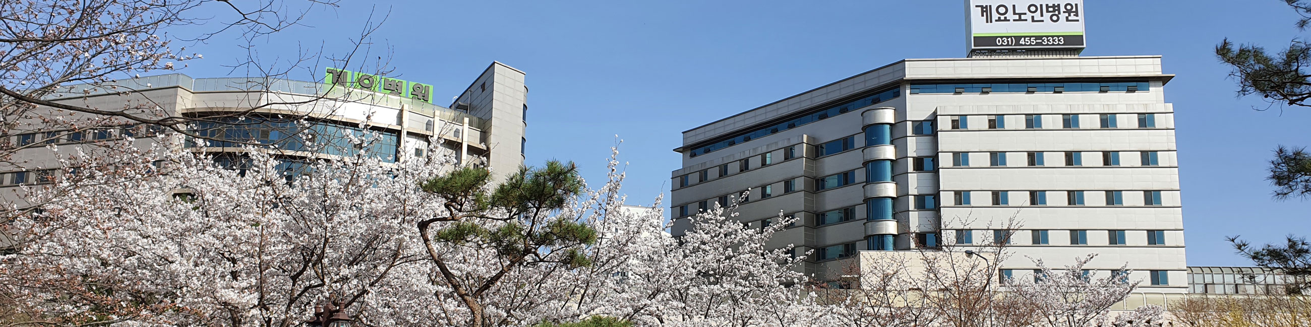 의료법인 계요의료재단 계요노인전문병원