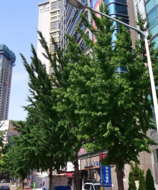 의료법인상보의료재단 대구경상요양병원