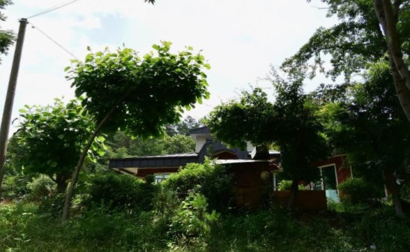 홍영노인전문병원