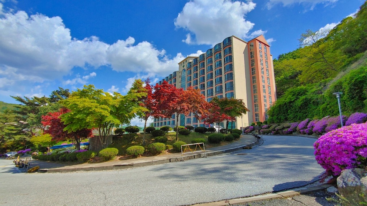 수동연세요양병원