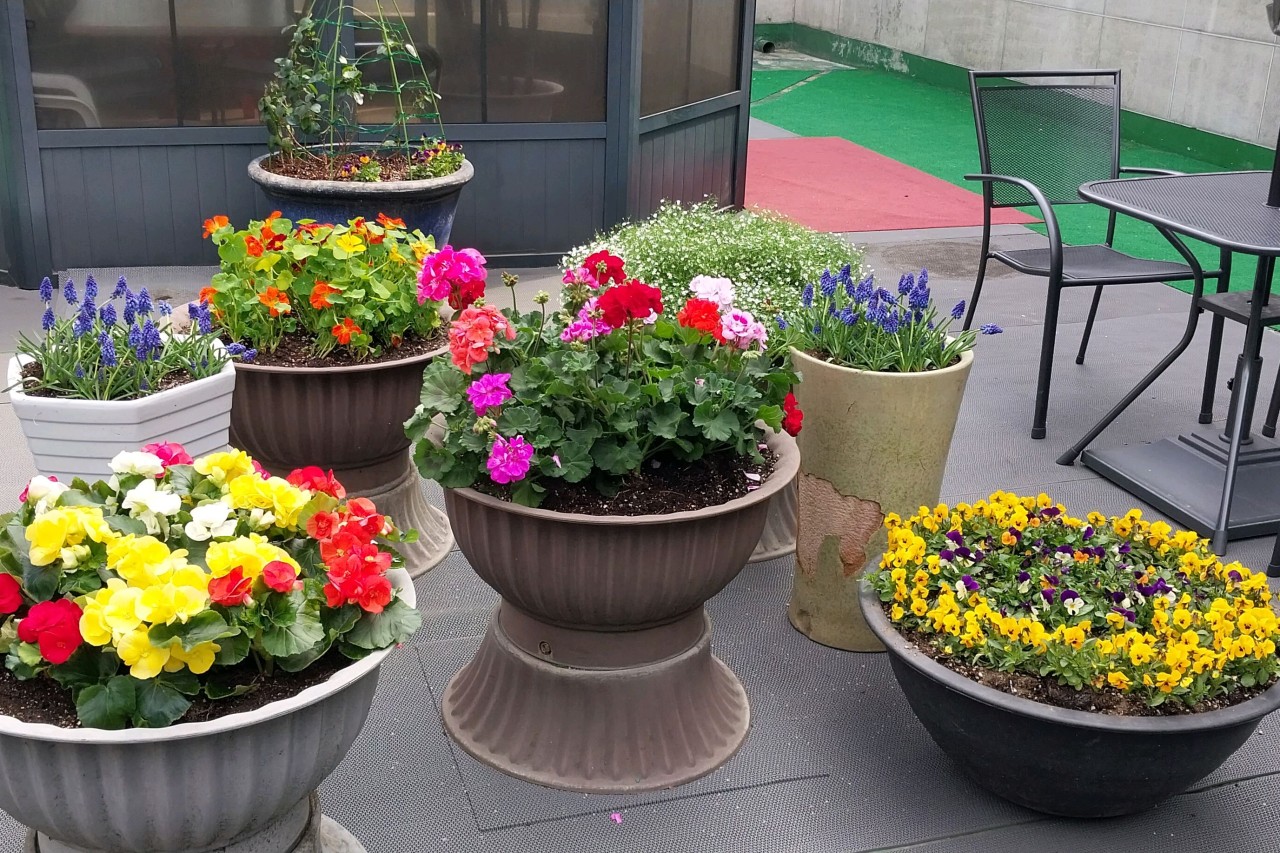 햇살요양병원 이미지 2