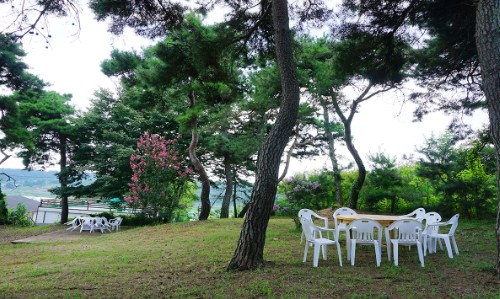 주은라파스요양병원 이미지 2