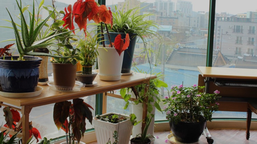 정다운요양병원 이미지 2