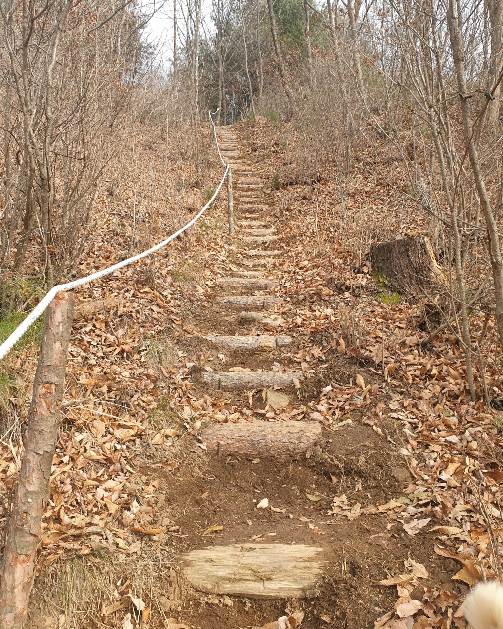 해오름자연요양병원 이미지 2