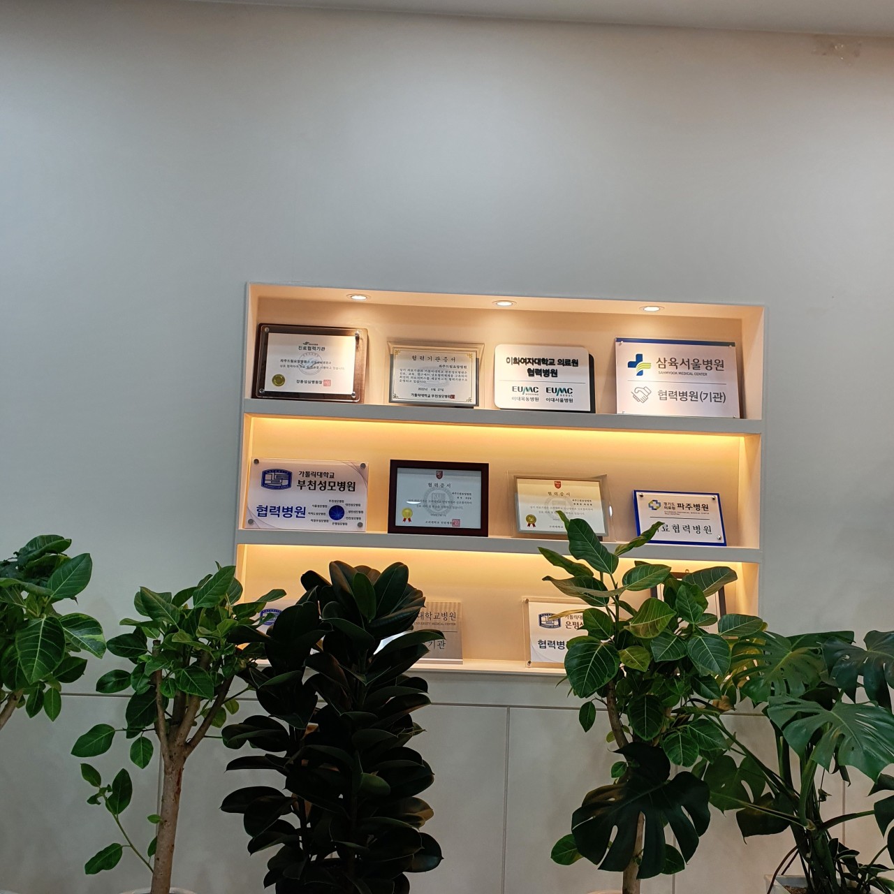 파주드림요양병원 이미지 3