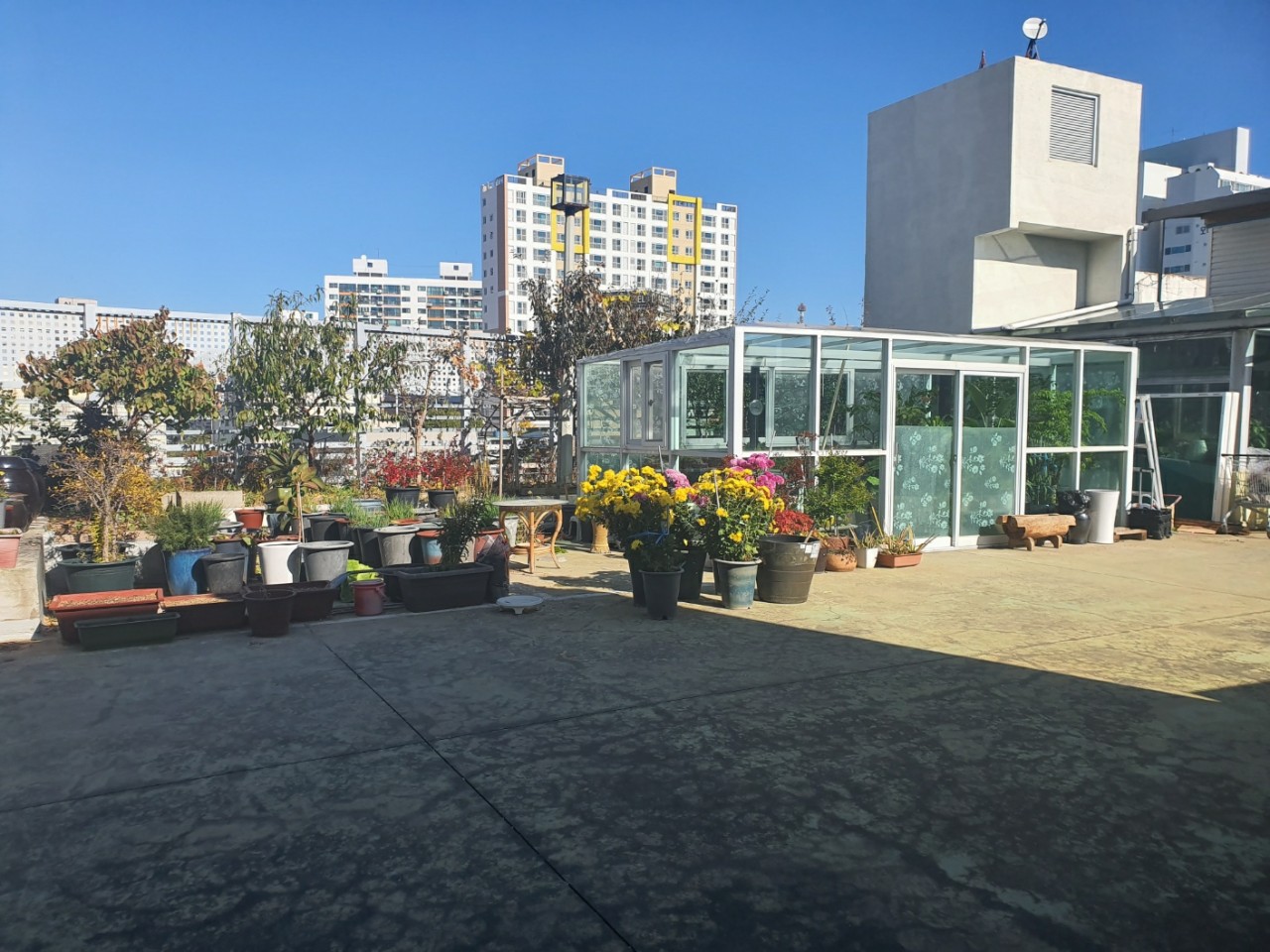 효성요양병원 이미지 4