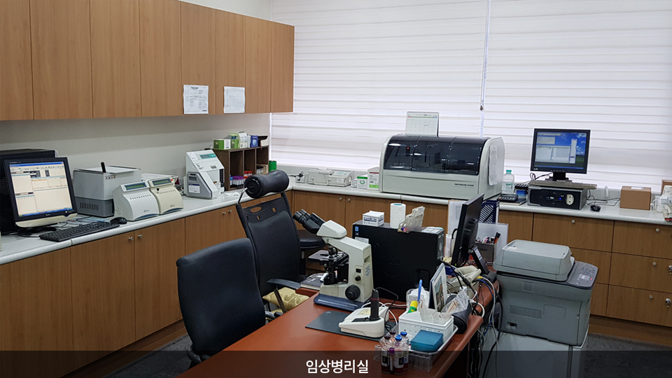 강동성모요양병원 이미지 4